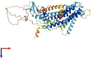 AlphaFold protein structure predicition of Human Recombinant TMEM39A Protein, UniprotID Q9NV64 (TMEM39A Protein (AA 1-488) (His tag))