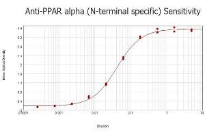 ELISA results of purified Rabbit anti-PPAR Alpha (N-terminal specific) Antibody tested against BSA-conjugated peptide of immunizing peptide. (PPARA antibody  (N-Term))