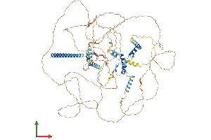 AlphaFold protein structure predicition of Human Recombinant CIZ1 Protein, UniprotID Q9ULV3