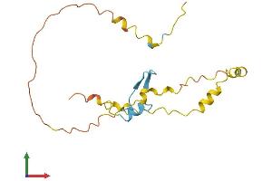 AlphaFold protein structure predicition of Human Recombinant C17orf50 Protein, UniprotID Q8WW18 (C17ORF50 Protein (AA 1-174) (His tag))