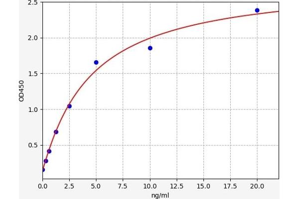 DUSP4 ELISA Kit