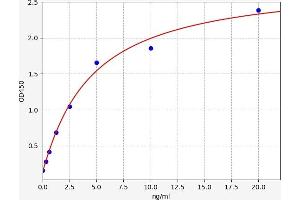Typical standard curve (DUSP4 ELISA Kit)