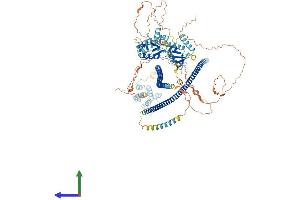 AlphaFold protein structure predicition of Mouse Recombinant Card10 Protein, UniprotID P58660