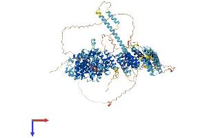 MYBBP1A Protein (AA 1-1328) (His tag)