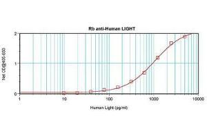 Image no. 1 for anti-Tumor Necrosis Factor (Ligand) Superfamily, Member 14 (TNFSF14) antibody (ABIN465434) (TNFSF14 antibody)