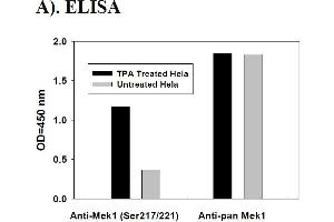 Image no. 2 for Mitogen-Activated Protein Kinase Kinase 1 (MAP2K1) ELISA Kit (ABIN1981725) (MEK1 ELISA Kit)