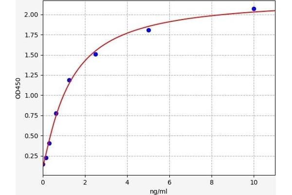 LPAR4 ELISA Kit