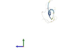 AlphaFold protein structure predicition of Mouse Recombinant Cep89 Protein, UniprotID Q9CZX2