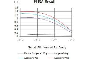 Black line: Control Antigen (100 ng),Purple line: Antigen (10 ng), Blue line: Antigen (50 ng), Red line:Antigen (100 ng) (CAPNL1 antibody  (AA 501-714))