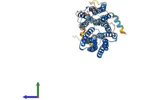 AlphaFold protein structure predicition of Mouse Recombinant Mfsd4a Protein, UniprotID Q6PDC8 (MFSD4 Protein (AA 1-510) (His tag))