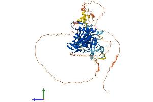 Protein Structure (PS) image for TCDD-Inducible Poly(ADP-Ribose) Polymerase (Tiparp) (AA 1-657) protein (His tag) (ABIN7564499)