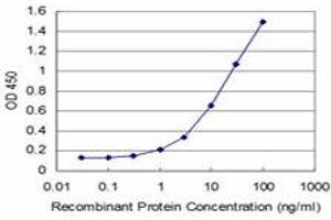 Detection limit for recombinant GST tagged MEF2A is approximately 1ng/ml as a capture antibody. (MEF2A antibody  (AA 71-170))