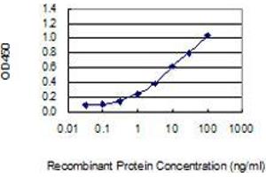 Detection limit for recombinant GST tagged IL17A is 0. (Interleukin 17a antibody  (AA 24-133))