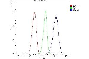 Flow Cytometry analysis of HepG2 cells using anti-APOA1 antibody (ABIN4886466). (APOA1 antibody  (AA 25-267))