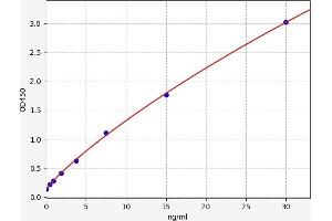 Typical standard curve (SLC2A13 ELISA Kit)