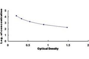 INSL3 ELISA Kit