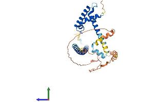 AlphaFold protein structure predicition of Human Recombinant FSBP Protein, UniprotID O95073