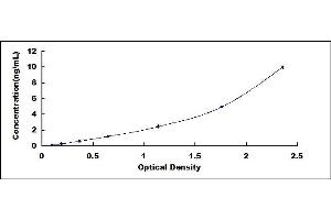 Typical standard curve (Alkaline Phosphatase ELISA Kit)