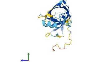 Protein Structure (PS) image for Endogenous Retrovirus Group K, Member 18 (ERVK-18) (AA 1-156) protein (His tag) (ABIN7545121)