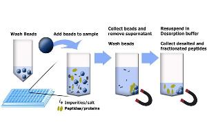 Principle using MagSi-WCX beads. (MagSi-WCX beads)