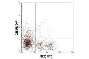 Flow Cytometry (FACS) image for anti-Mast/stem Cell Growth Factor Receptor (KIT) antibody (PE-Cy7) (ABIN2659417) (KIT antibody  (PE-Cy7))