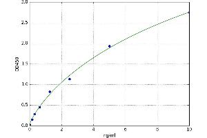 A typical standard curve