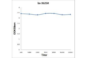 Antigen: 2 µg/100 µL  Primary: Antiserum, 1:500, 1:1000, 1:2000, 1:4000, 1:8000, 1:16000, 1:32000;  Secondary: HRP conjugated Rabbit Anti-Goat IgG at 1: 5000;  TMB staining Read the data in Microplate Reader by 450nm. (PKC delta antibody  (AA 65-170))