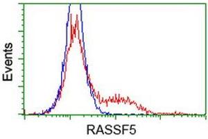 Image no. 1 for anti-Ras Association (RalGDS/AF-6) Domain Family Member 5 (RASSF5) antibody (ABIN1500614)