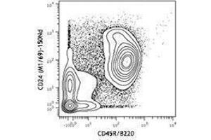 Flow Cytometry (FACS) image for anti-CD24 Molecule (CD24) antibody (ABIN2664425) (CD24 antibody)