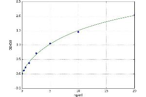 A typical standard curve