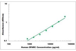 Representative Standard Curve (SPARC ELISA Kit)