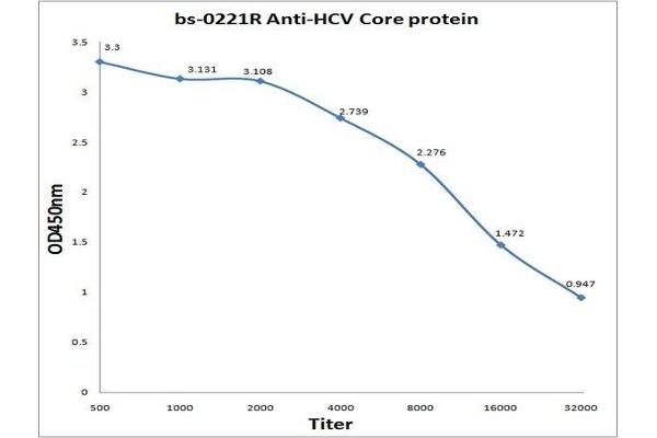 HCV Core Protein antibody