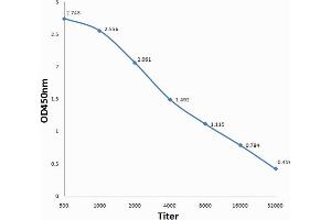Antigen: 0. (Ret Proto-Oncogene antibody  (pTyr905))