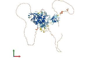 Protein Structure (PS) image for Doublecortin-Like Kinase 2 (DCLK2) (AA 1-756) protein (His tag) (ABIN7564134)