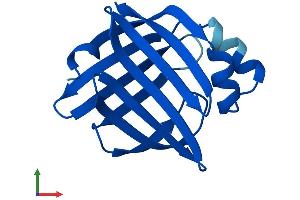 AlphaFold protein structure predicition of Human Recombinant FABP9 Protein, UniprotID Q0Z7S8 (FABP9 Protein (AA 1-132) (His tag))