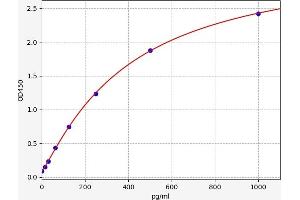 Interleukin 5 (IL5) ELISA Kit