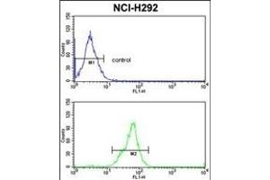 TOB1 Antibody (N-term) (ABIN652511 and ABIN2842342) flow cytometric analysis of NCI- cells (bottom histogram) compared to a negative control cell (top histogram). (Protein Tob1 (TOB1) (AA 54-83), (N-Term) antibody)