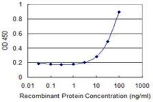 Detection limit for recombinant GST tagged HOXB9 is 1 ng/ml as a capture antibody. (HOXB9 antibody  (AA 65-163))