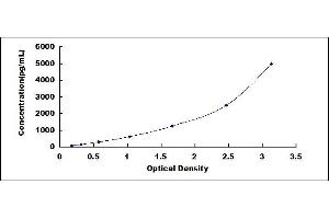 Typical standard curve (CCR2 ELISA Kit)