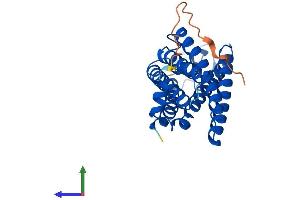 AlphaFold protein structure predicition of Human Recombinant TMEM150A Protein, UniprotID Q86TG1