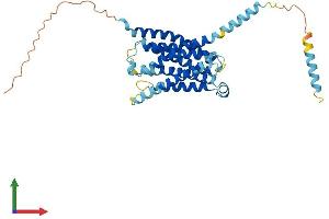 AlphaFold protein structure predicition of Mouse Recombinant Mrgprx2 Protein, UniprotID Q3UG50 (MRGPRX2 Protein (AA 1-352) (His tag))