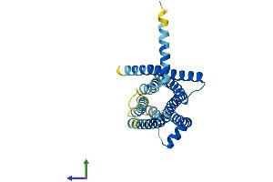 AlphaFold protein structure predicition of Mouse Recombinant Tas2r125 Protein, UniprotID Q7M710 (TAS2R125 Protein (AA 1-311) (His tag))