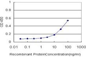 Detection limit for recombinant GST tagged FLJ31951 is approximately 1ng/ml as a capture antibody. (RNF145 antibody  (AA 592-691))