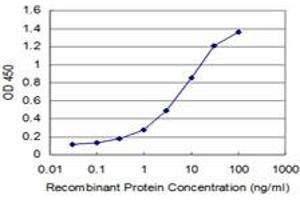 Detection limit for recombinant GST tagged DSU is approximately 0. (MREG antibody  (AA 1-214))