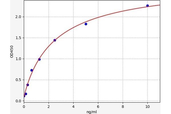 OB Cadherin ELISA Kit