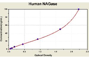 Diagramm of the ELISA kit to detect Human NAGasewith the optical density on the x-axis and the concentration on the y-axis. (MGEA5 ELISA Kit)