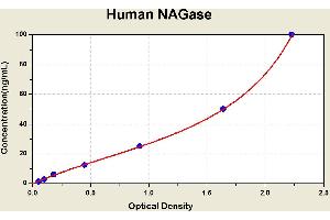Diagramm of the ELISA kit to detect Human NAGasewith the optical density on the x-axis and the concentration on the y-axis. (MGEA5 ELISA Kit)