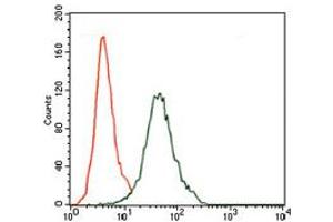 Image no. 1 for anti-CD5 (CD5) antibody (ABIN1491301) (CD5 antibody)