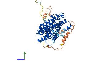 Protein Structure (PS) image for Ribonucleotide Reductase M2 (RRM2) (AA 1-389) protein (His tag) (ABIN7551418)
