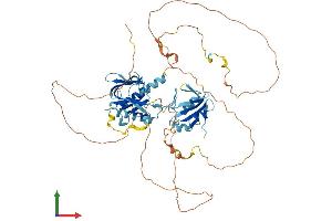 AlphaFold protein structure predicition of Human Recombinant SHC1 Protein, UniprotID P29353